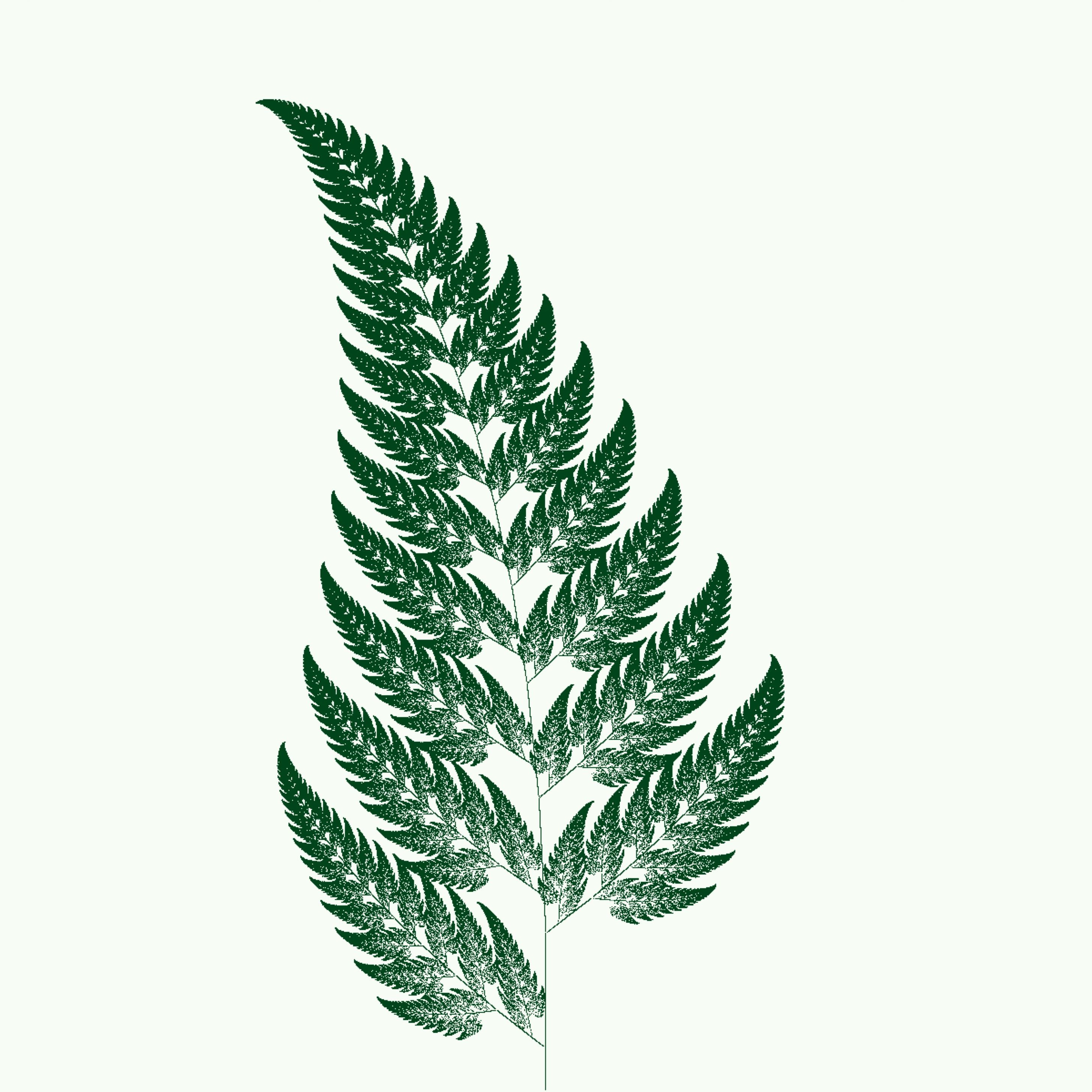 Fractal Fern Growth