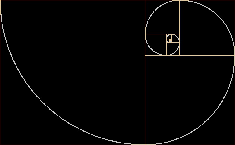 Fibonacci Spiral Form